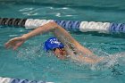 MSwim vs USCGA  Men’s Swimming & Diving vs US Coast Guard Academy. : MSwim, swimming